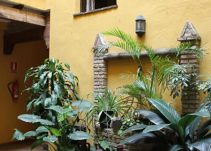 Otel Lojo